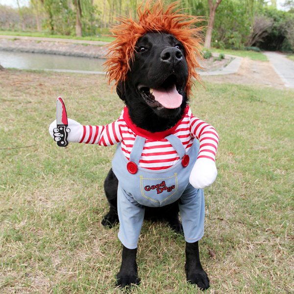 Halloween Pet Costume - Image 7