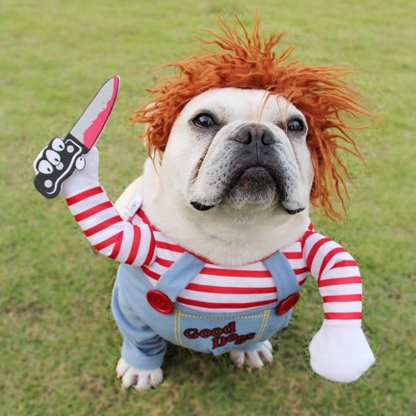 Halloween Pet Costume - Image 2