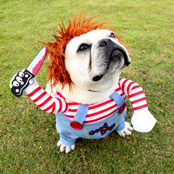 Halloween Pet Costume - Image 9
