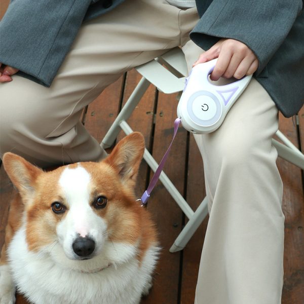LED Retractable Dog Leash - Image 2