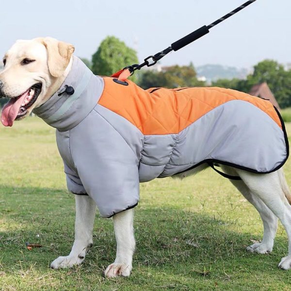 New Winter Dog Coat -- Waterproof Design